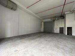 Ct Foodnex (D25), Factory #575905931